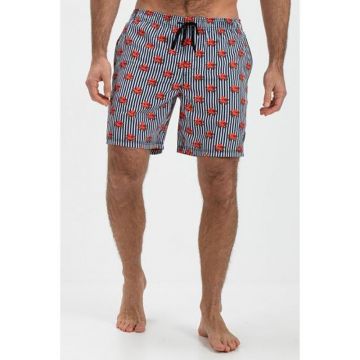 Falcon heren zwemshort Dray